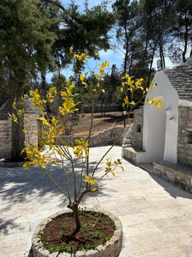 Il Trullo Di Simona Bed and Breakfast Locorotondo Buitenkant foto