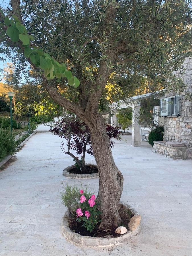 Il Trullo Di Simona Bed and Breakfast Locorotondo Buitenkant foto