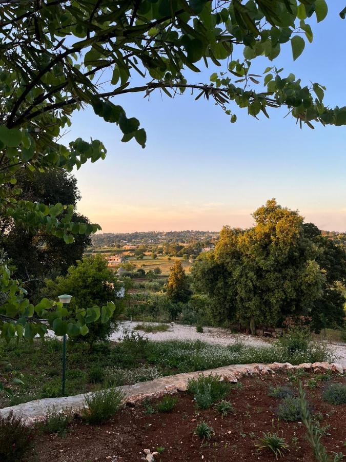 Il Trullo Di Simona Bed and Breakfast Locorotondo Buitenkant foto