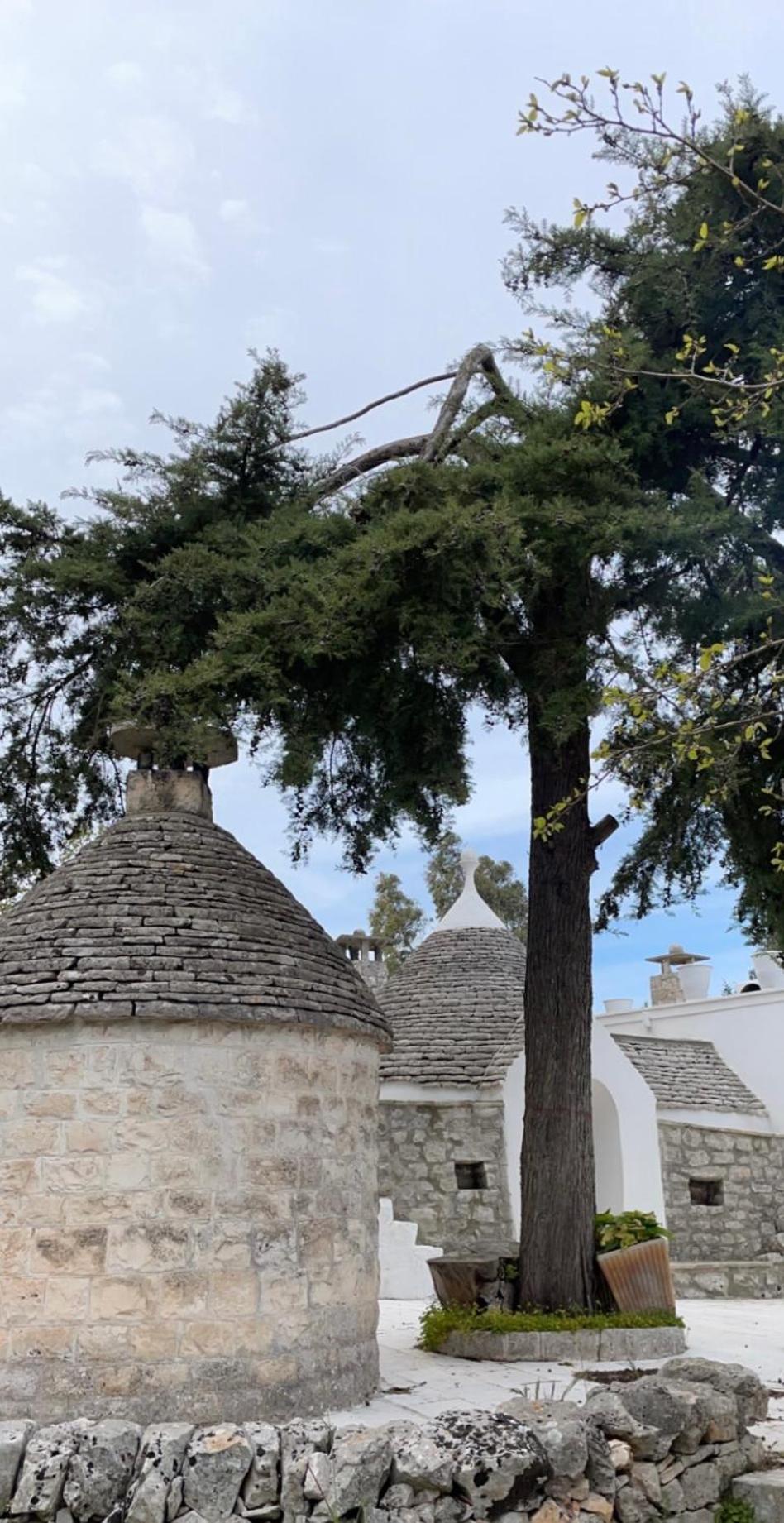 Il Trullo Di Simona Bed and Breakfast Locorotondo Buitenkant foto